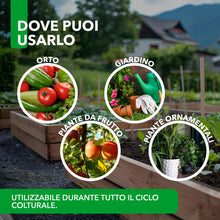 Carica l'immagine nel visualizzatore di Gallery, Terre di Diatomee BioNee – Corroborante Naturale per Piante – Uso Orto e Giardino 1 kg