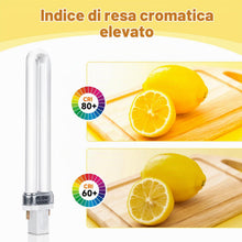 Carica l'immagine nel visualizzatore di Gallery, Lampada Fluorescente Compatta da 9W a 2 Pin, G23 Bianco Freddo 4000K, Dimensioni: 16,5 cm, CFL CA 220V, 720LM, Lampada a