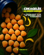 Carica l'immagine nel visualizzatore di Gallery, Yamamoto CreaGelèe Creatina Monoidrato Effervescente, 90 Supergelèe, Gusto Agrumi