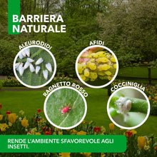 Carica l'immagine nel visualizzatore di Gallery, Terre di Diatomee BioNee – Corroborante Naturale per Piante – Uso Orto e Giardino 1 kg