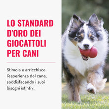 Carica l'immagine nel visualizzatore di Gallery, KONG Classic Giocattolo da Masticare Riempibile per Cani, Taglia Media