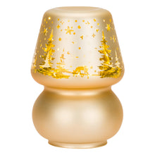 Carica l'immagine nel visualizzatore di Gallery, Lampada led Natale, media