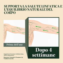 Carica l'immagine nel visualizzatore di Gallery, Drenaggio Linfatico Gocce, Nuovo Integratore Drenaggio Linfatico a Base di Erbe Naturali 2026 per Gambe e Addome, Gocce 