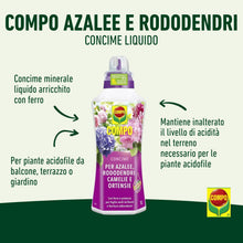 Carica l'immagine nel visualizzatore di Gallery, COMPO Concime Liquido Per Rododendri, Azalee, Camelie e Ortensie, 1L