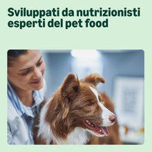 Carica l'immagine nel visualizzatore di Gallery, by Amazon Complete Dry Dog Food with Salmon And Rice for Medium And Large Breeds 5kg (Precedentemente Un Marchio Lifelon