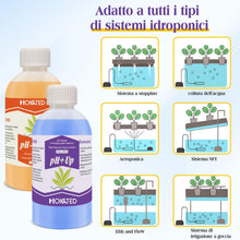 Carica l'immagine nel visualizzatore di Gallery, Misuratore di pH Digitale per Acqua e Idroponica con ATC