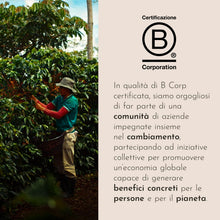 Carica l'immagine nel visualizzatore di Gallery, illy, Caffè in Grani INTENSO, 1 Barattolo da 250g