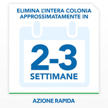 Carica l'immagine nel visualizzatore di Gallery, Baygon Trappola Adesiva Scarafaggi, Protezione per la Cucina, 1 Confezione