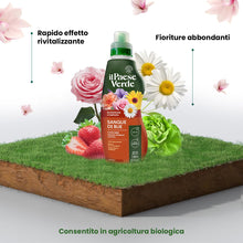 Carica l'immagine nel visualizzatore di Gallery, Il Paese Verde - Concime Sangue di Bue Liquido, 1L