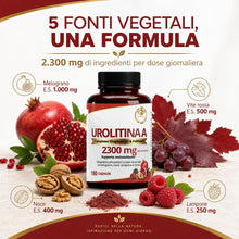 Carica l'immagine nel visualizzatore di Gallery, Urolitina A Integratore 2300mg 180 Capsule Vegetali