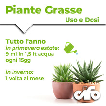 Carica l'immagine nel visualizzatore di Gallery, CIFO - Concime Piante Grasse Liquido, Fertilizzante Piante Succulente Arricchito con Ferro e Microelementi - Favorisce u