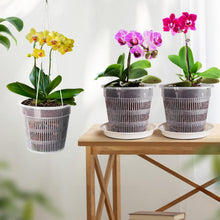 Carica l'immagine nel visualizzatore di Gallery, 8 vasi trasparenti per orchidee, 11/14/16/19 cm, in plastica