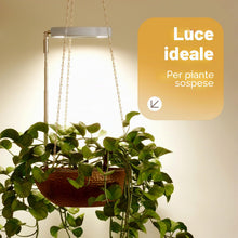 Carica l'immagine nel visualizzatore di Gallery, Bamworld Luce di Crescita LED per Piante da Interno, Lampada ad Anello a Spettro Completo 380-800nm, Inserimento nel Vas