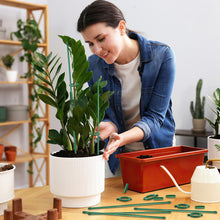 Carica l'immagine nel visualizzatore di Gallery, Tutore per Piante 20 Pezzi Sostegno per Piante con 20 Moschettoni 10 Collegamento Tubis Plant Stand Bastone per Piantes 
