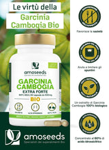 Carica l'immagine nel visualizzatore di Gallery, Garcinia Cambogia BIO | Rapida azione ed Efficiente | Alta concentrazione, 60% HCA | 2000mg / giorno | Sazietà | Qualità