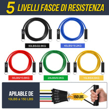 Carica l'immagine nel visualizzatore di Gallery, Fokky Elastici Fitness 150LBS, 5 Livelli di Elastico Palestra per Pilates
