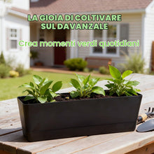 Carica l'immagine nel visualizzatore di Gallery, Bamworld 3 Vasi Rettangolari 42x12 cm, Drenaggio, Nero, Piante Grasse