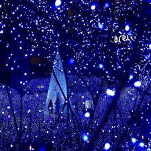 Carica l'immagine nel visualizzatore di Gallery, NEXVIN Luci natalizie a energia solare, per esterni, 20 m, 200 LED, per esterni, a energia solare, resistente alle intem