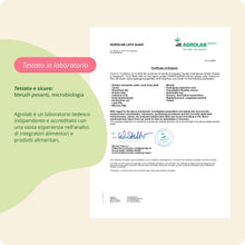 Carica l'immagine nel visualizzatore di Gallery, VITAMINA B Complex Alto Dosaggio | B1, B2, B3, B5, B6, B7 (Biotina), B9 (Acido Folico), B12 + Colina | Prodotto in Germa