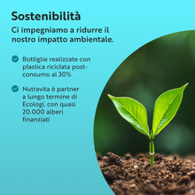 Carica l'immagine nel visualizzatore di Gallery, Nutravita L-Carnitina - 150 Capsule Vegane