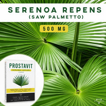 Carica l'immagine nel visualizzatore di Gallery, PROSTAVIT® - SERENOA REPENS 500MG | Saw Palmetto | Integratore Prostata | 8 ingredienti attivi con Zucca, Ortica, Pygeum