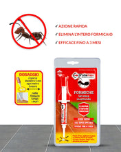 Carica l'immagine nel visualizzatore di Gallery, Protemax GEL FORMICHE INSETTICIDA siringa GR. 5 Zapi Spa - pronto all'uso