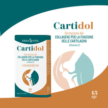 Carica l'immagine nel visualizzatore di Gallery, ERBA VITA Cartidol 45 Compresse integratore alimentare a base di Glucosamina, MSM, Condroitin solfato, Collagene idroliz