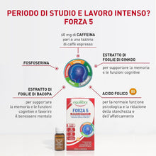 Carica l'immagine nel visualizzatore di Gallery, Equilibra Integratori Alimentari, Forza 5, Integratore con Estratti di Foglie Ginkgo e Bacopa, Fosfoserina, Caffeina e A