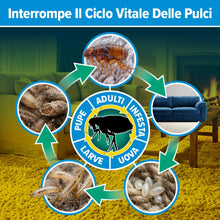 Carica l'immagine nel visualizzatore di Gallery, NOPE! Controllo Pulci 500 ml - Spray Antipulci per Casa, Tappeti e Cucce