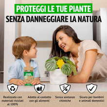 Carica l'immagine nel visualizzatore di Gallery, Super Ninja Trappole Moscerini Piante da Interno, 30 Pezzi