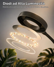 Carica l'immagine nel visualizzatore di Gallery, Bamworld Lampada da Coltivazione a LED a Spettro Completo, Lampada da Terra con Altezza Regolabile, 10 Livelli di Lumino