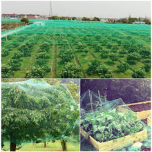 Carica l'immagine nel visualizzatore di Gallery, GWHOLE Rete Anti-Uccello per Giardino, Verde, 4 x 10 m