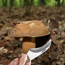 Carica l'immagine nel visualizzatore di Gallery, Coltello da funghi con spazzola e custodia; kit di raccolta portatile compreso coltello da funghi, pennello, portachiavi