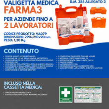 Carica l'immagine nel visualizzatore di Gallery, ONFARMA Farma 3 – Cassetta Pronto Soccorso Allegato 2 DM 388 per Aziende fino a 2 Lavoratori e Mezzi Aziendali con Carte
