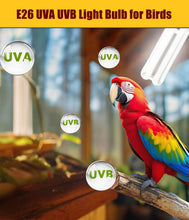Carica l'immagine nel visualizzatore di Gallery, KINGYEENUO E27 Lampadina UVA UVB per Uccelli 2.4 UVB 20W Lampada