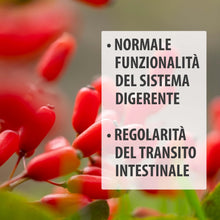 Carica l'immagine nel visualizzatore di Gallery, Berberina | 500 mg HCL - Berberine | 120 Capsule - per 4 Mesi | Regolazione Glicemia - Supporto al Colesterolo e Metabol