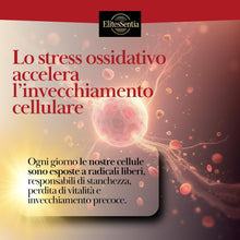 Carica l'immagine nel visualizzatore di Gallery, ElitesSentia Urolitina A Integratore: 120 Compresse Per Due Mesi Di Scorta -2000 mg Con Estratto Di Melograno, Juglans R