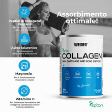 Carica l'immagine nel visualizzatore di Gallery, Weider Collagen (300g) Gusto Neutro, Collagene Bovino in Polvere