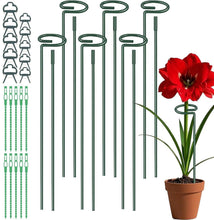 Carica l'immagine nel visualizzatore di Gallery, LATERN 6 Pezzi Stecche di Supporto per Piante, 30CM/ 60CM/ 90CM Paletto di Supporto a Stelo Singolo 6CM Anello di Suppor