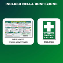 Carica l'immagine nel visualizzatore di Gallery, ONFARMA Farma 3 – Cassetta Pronto Soccorso Allegato 2 DM 388 per Aziende fino a 2 Lavoratori e Mezzi Aziendali con Carte