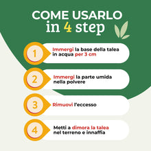 Carica l'immagine nel visualizzatore di Gallery, Albagarden - Ormone Radicante per Talee e Piante - 100g Polvere Universale