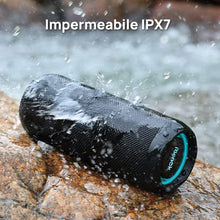 Carica l'immagine nel visualizzatore di Gallery, RIENOK Cassa Bluetooth Potente Portatile 30W Impermeabile Bassi Potenti