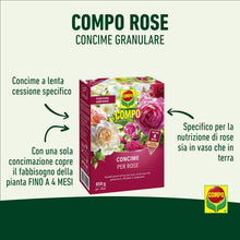 Carica l'immagine nel visualizzatore di Gallery, COMPO Concime Granulare Per Rose, In Vaso o Piena Terra, 850g