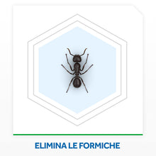 Carica l'immagine nel visualizzatore di Gallery, Baygon Esca Formiche, per Interni ed Esterni, Confezione da 1 Esca