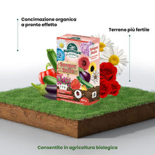 Carica l'immagine nel visualizzatore di Gallery, Sangue Secco Per Piante, 800g