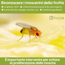 Carica l'immagine nel visualizzatore di Gallery, Trappola per Mosche dei Frutti ✯Made in UE✯, Anti Moscherini Interno, Attrape Moscherini Cucina, Piega Moscherini e Mosc