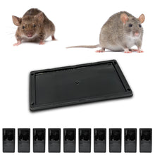 Carica l'immagine nel visualizzatore di Gallery, Trappola Adesiva per Topi e Ratti, Grandi Trappole con Colla Professionali, Cattura di roditori, ultra Appiccicoso (10 P