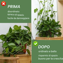 Carica l'immagine nel visualizzatore di Gallery, Frevoitna 80 Pezzi Clip per Piante Autoadesivi, Rampicanti Clip di Supporto per Piante, Ganci per Piante Rampicanti, Mol