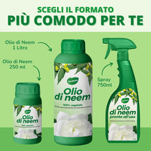 Carica l'immagine nel visualizzatore di Gallery, Gardemia Olio di Neem Spray per Piante 750ml Pronto Uso Azione Naturale contro varie Avversità Giardino Casa Multiuso Es