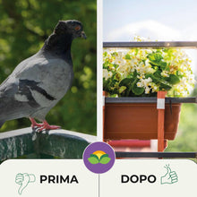Carica l'immagine nel visualizzatore di Gallery, Albagarden - Repellente Piccioni - Effetto IMMEDIATO - Barriera Vegetale Olfattiva Anti Piccioni E Gabbiani - Disabituan